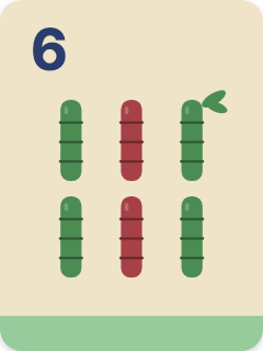 6