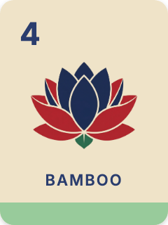 Bamboo