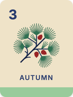 Fall