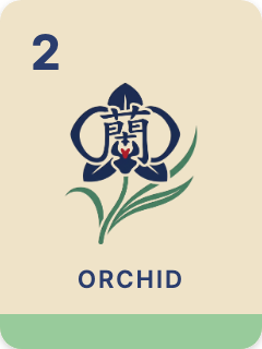 Orchid