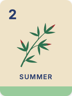 Summer